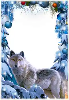照片效果分类 各类 № 163432. 边框标语: Wolf