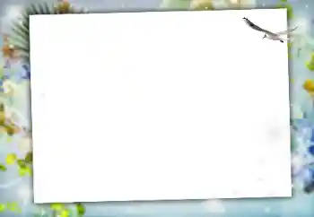 照片效果分类 各类 № 164634