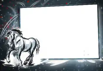 照片效果分类 各类 № 170415