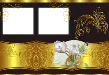 照片效果分类 各类 № 170524
