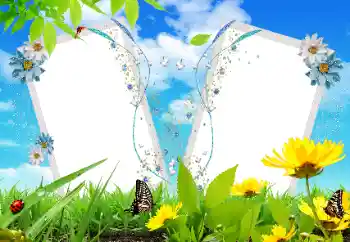 照片效果分类 各类 № 17121