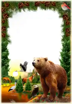 照片效果分类 各类 № 171745
