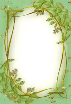 照片效果分类 各类 № 179365