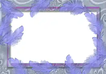 照片效果分类 各类 № 1809 照片效果分类 各类 № 1809