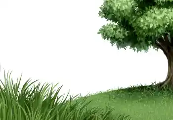 照片效果分类 各类 № 183333