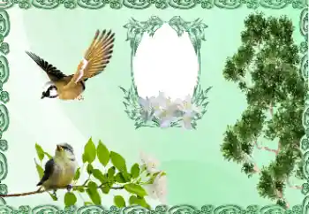 照片效果分类 各类 № 185981