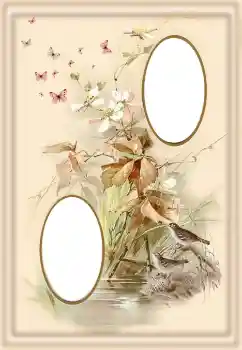 照片效果分类 各类 № 190550