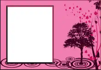 照片效果分类 各类 № 201108