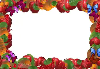 照片效果分类 各类 № 20184
