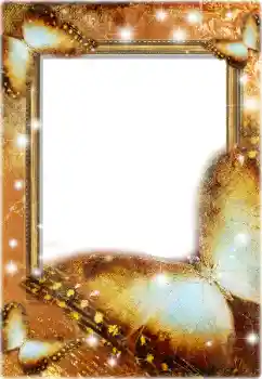 照片效果分类 各类 № 203269