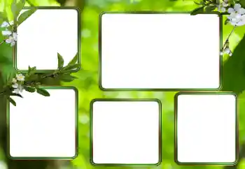 照片效果分类 各类 № 205353