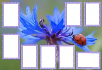 照片效果分类 各类 № 205529