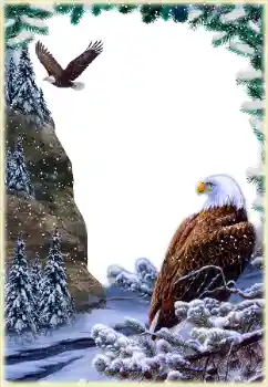 照片效果分类 各类 № 205592