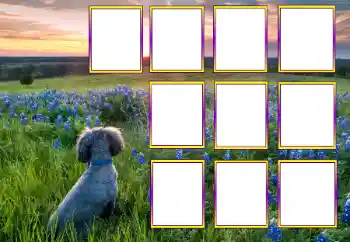 照片效果分类 各类 № 205604