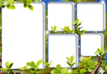 照片效果分类 各类 № 205792
