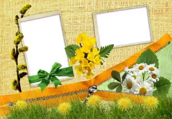 照片效果分类 各类 № 24285