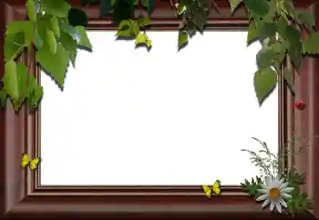 照片效果分类 各类 № 24288