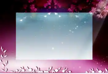 照片效果分类 各类 № 26436