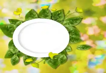照片效果分类 各类 № 26737