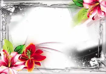 照片效果分类 各类 № 2804