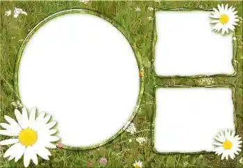 照片效果分类 各类 № 34932