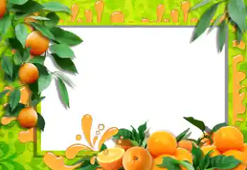 照片效果分类 各类 № 36215