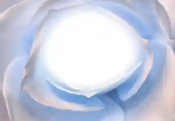 照片效果分类 各类 № 38328