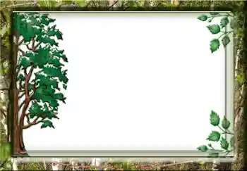照片效果分类 各类 № 38357