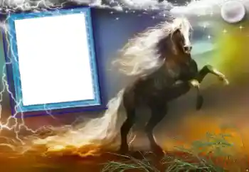 照片效果分类 各类 № 47248