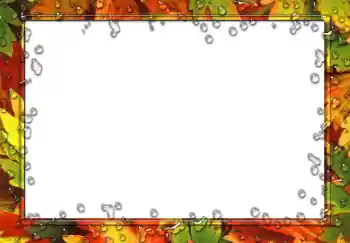 照片效果分类 各类 № 49551 照片效果分类 各类 № 49551