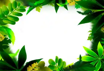 照片效果分类 各类 № 56530