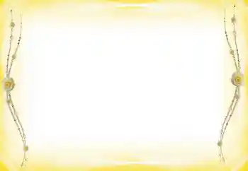 照片效果分类 各类 № 60289