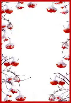 照片效果分类 各类 № 60402