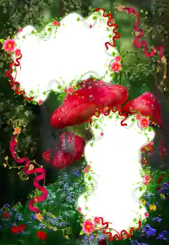 照片效果分类 各类 № 67208