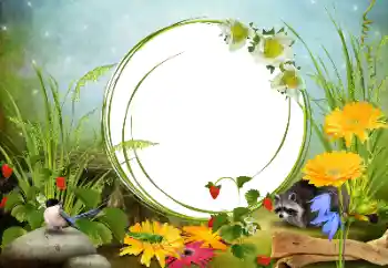 照片效果分类 各类 № 68455