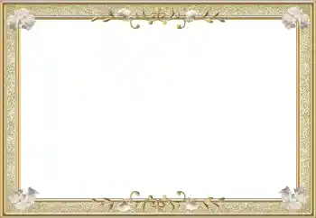 照片效果分类 各类 № 78965