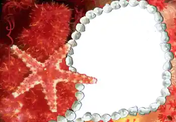 照片效果分类 各类 № 80293