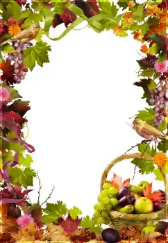 照片效果分类 各类 № 81650