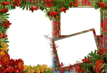 照片效果分类 各类 № 83986