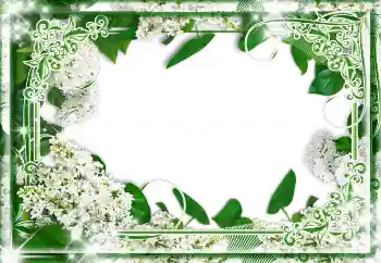 照片效果分类 各类 № 85233