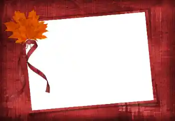 照片效果分类 各类 № 86582