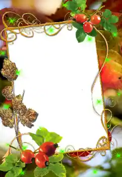 照片效果分类 各类 № 8676 照片效果分类 各类 № 8676