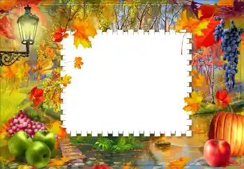 照片效果分类 各类 № 88123