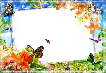 照片效果分类 各类 № 89452
