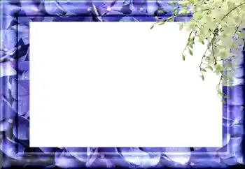 照片效果分类 各类 № 89460