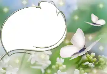 照片效果分类 各类 № 90527