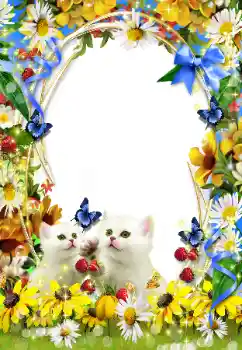 照片效果分类 各类 № 93351