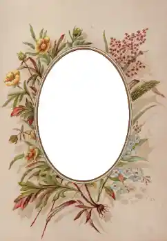 照片效果分类 各类 № 93398