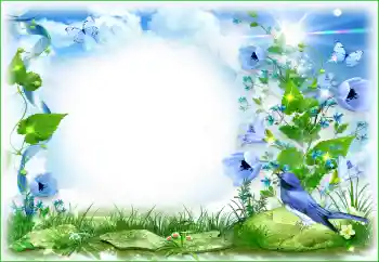照片效果分类 各类 № 94495
