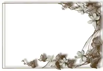 照片效果分类 各类 № 94748